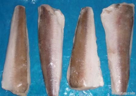 Pacific Hake (merluccius productus)