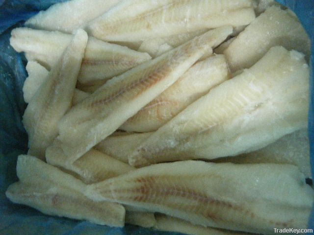 Frozen Alaska Pollock Fillets (Theragra Chalcogramma)