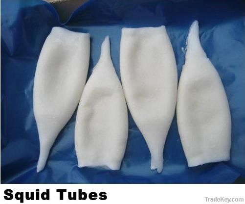 frozen squid tube