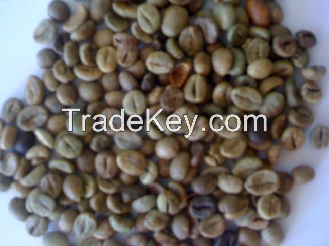 Buon Me Thuot unwashed Robusta green coffee beans