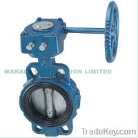 butterfly valve