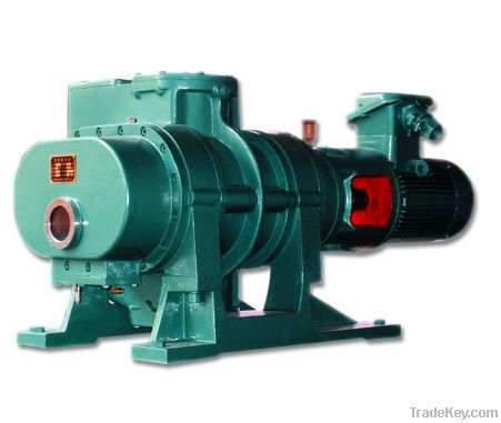 Roots Vacuum Pump