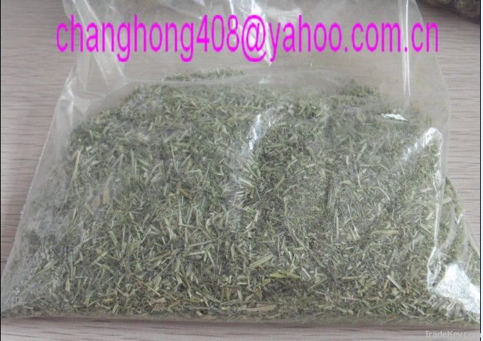 Green Alfalfa Meal /Powder with A Favorable Price