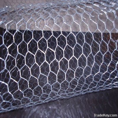 hexagonal wire mesh