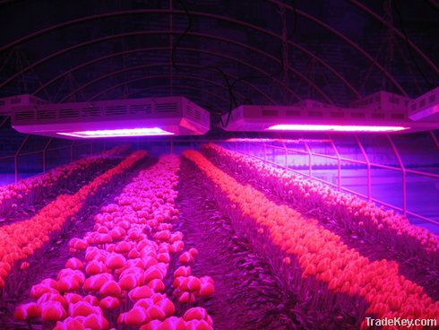 led grow light