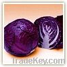 Quality red cabbage