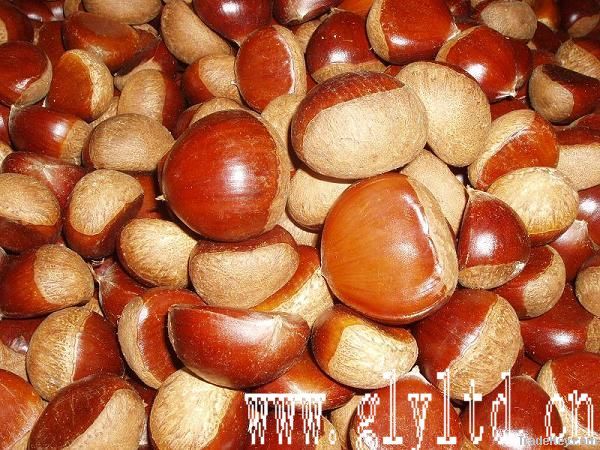 Fresh Chinese Chestnuts