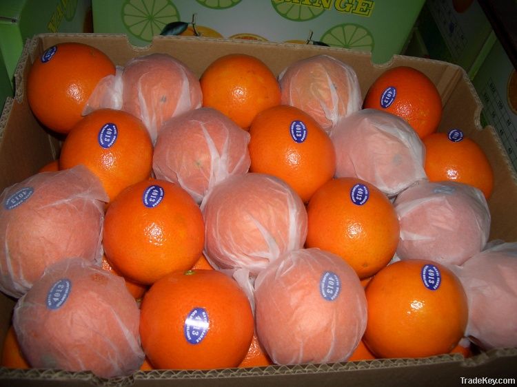 Navel Orange