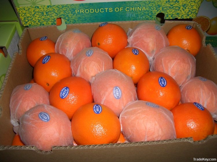 Navel Orange