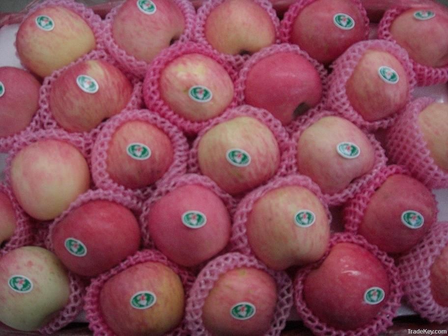 Fuji apples