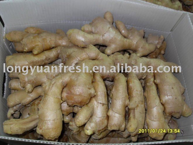 fresh Chinese new crop ginger