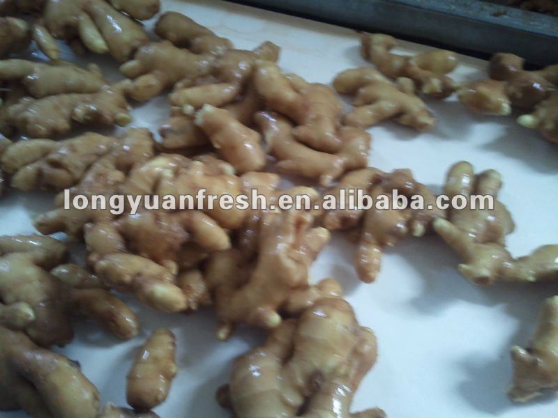 natural yellow color fresh ginger