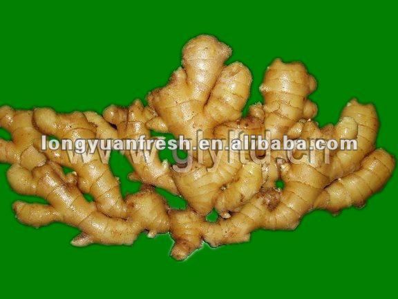 organic yellow color fresh ginger