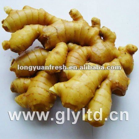 natural yellow color fresh ginger