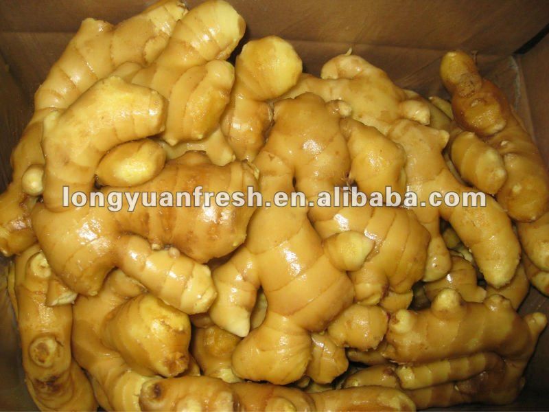 yellow color fresh ginger