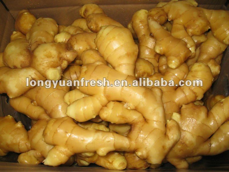 china yellow color fresh ginger