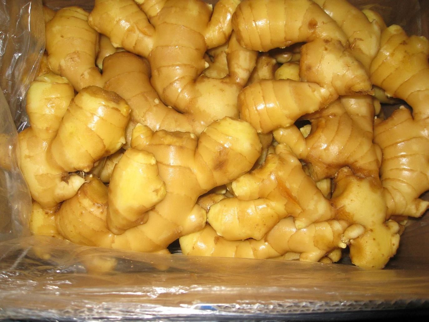 2012 Good Quality Chinese Fresh and Air Dry Ginger