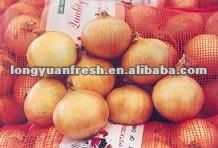 wholesale onion