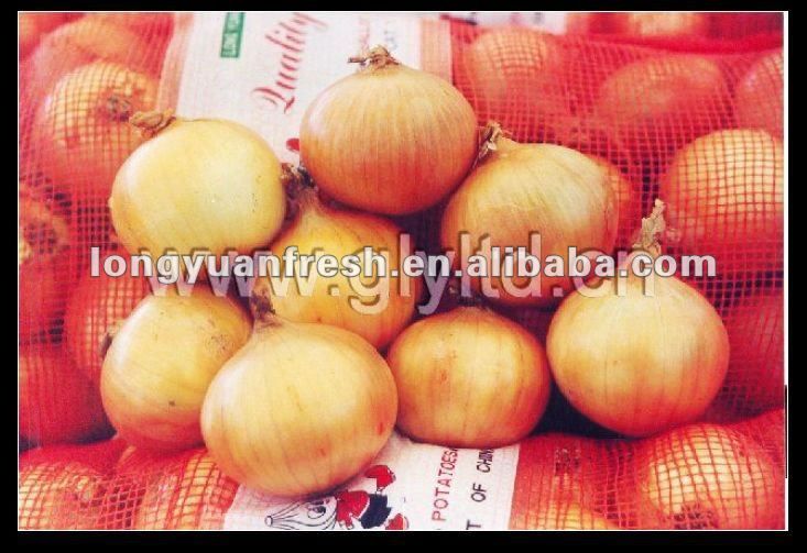 china wholesale fresh onion