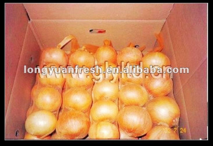 wholesale onion