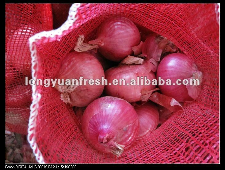 china wholesale onion