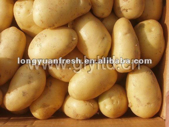 harvest potatoes