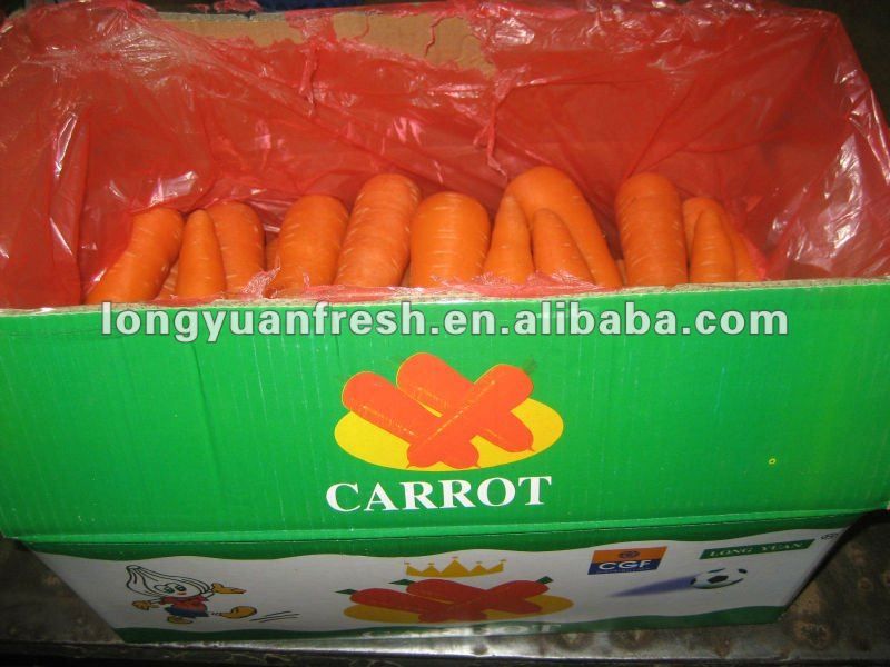 2012 new harvest chinese fresh vegetables baby carrot