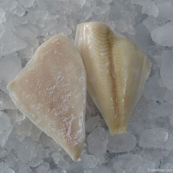 rock sole fillet and portion