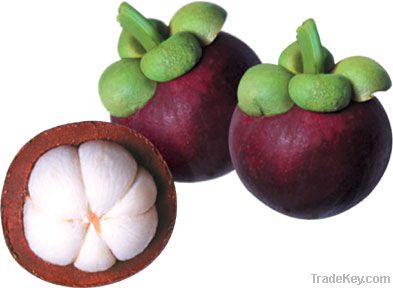 Fresh Mangosteen