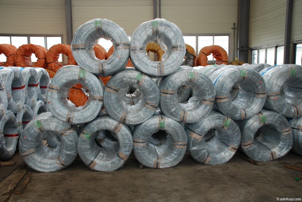 Low Carbon Galvanized Steel Wire