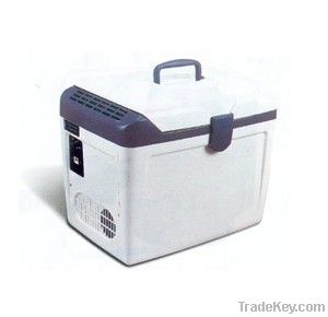 portable car cooler box