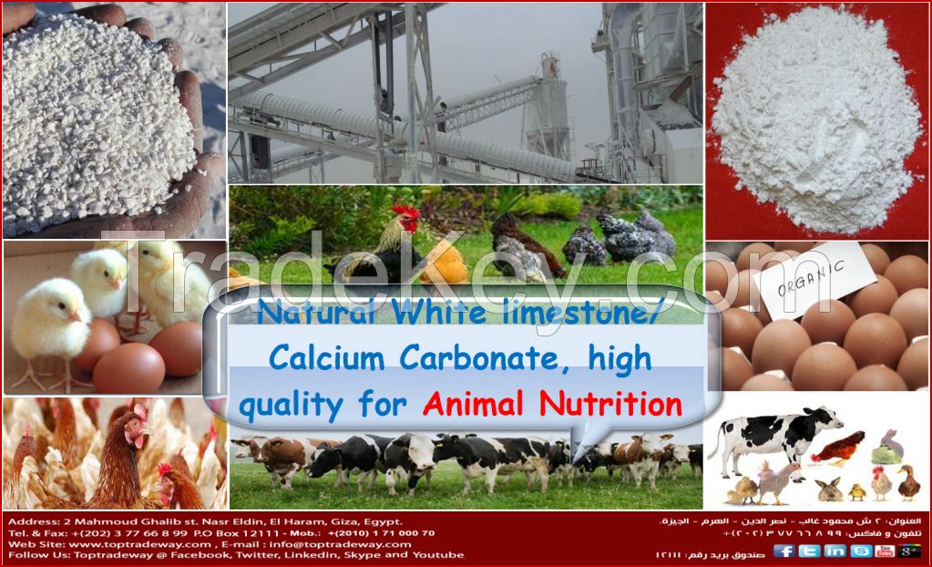 Finest, Whitest, CALCIUM CARBONATE Reasonable Price