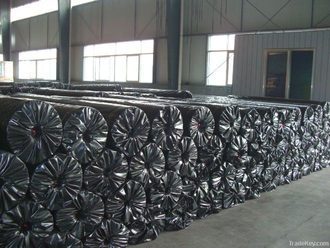 knitting polyester geogrid with pvc coating(30kn-800kn)