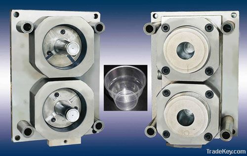 ISO9001 certified injection mold