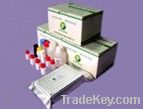 Gentamicin ELISA Test Kit