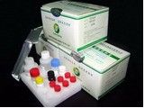 Porcine Circovirus ELISA Test Kit