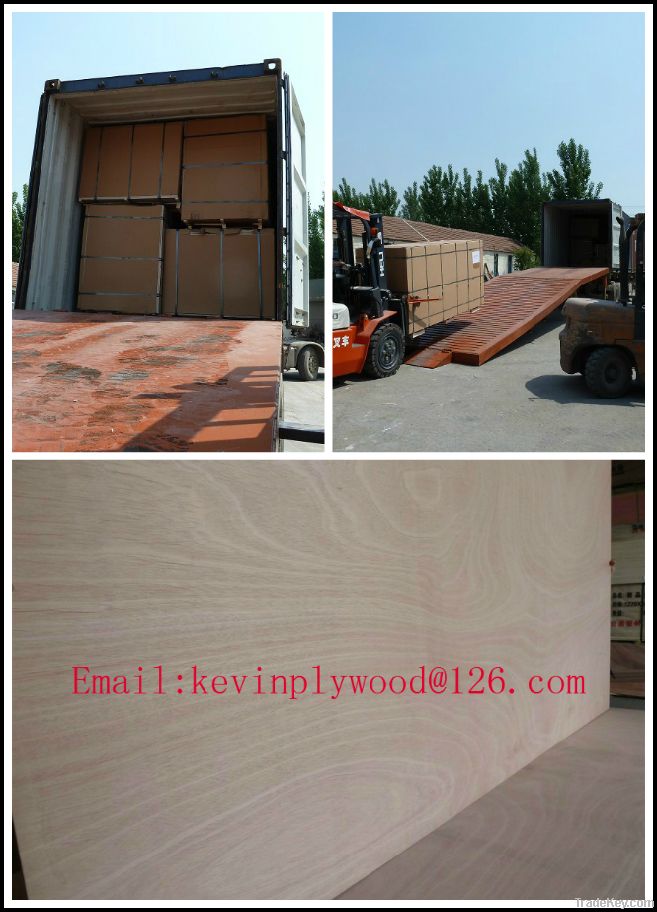 plywood with good quality and price