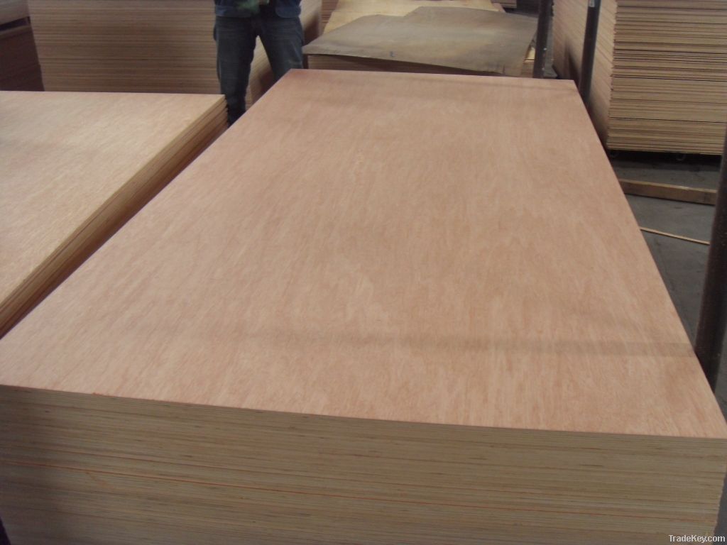 Okoume plywood with good price