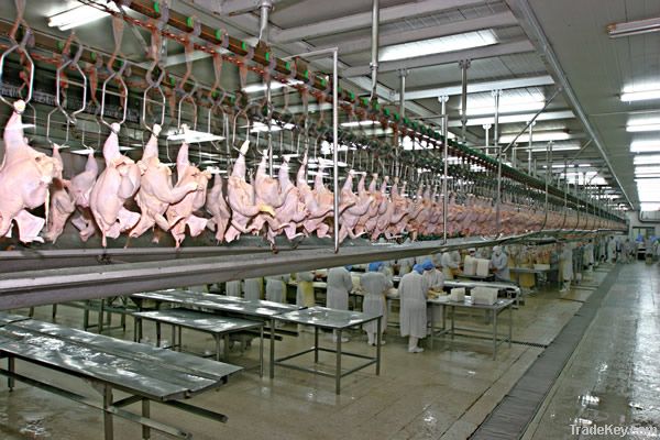 Chicken Slaughtering Production Line