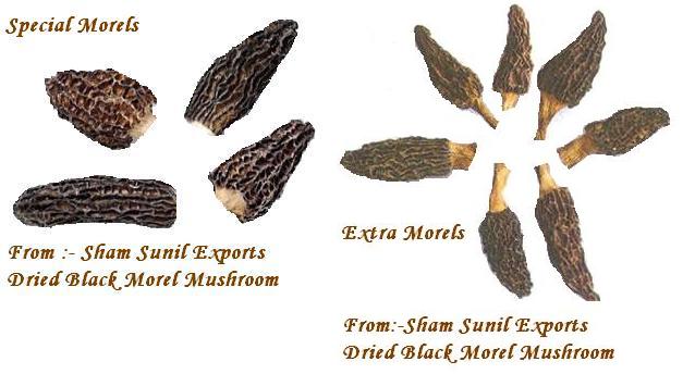Indian Black Dried Morels Mushroom