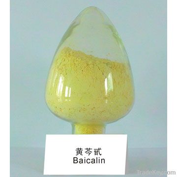 scutellaria baicalensis glucoside extract