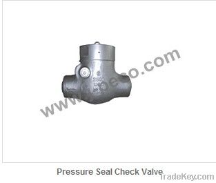 Pressure Seal Check Valve