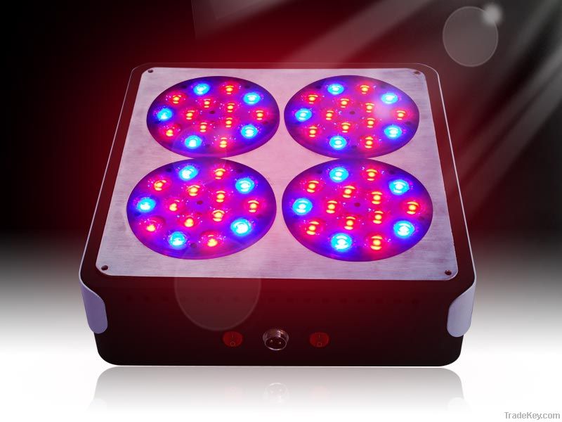 apollo4 led grow light