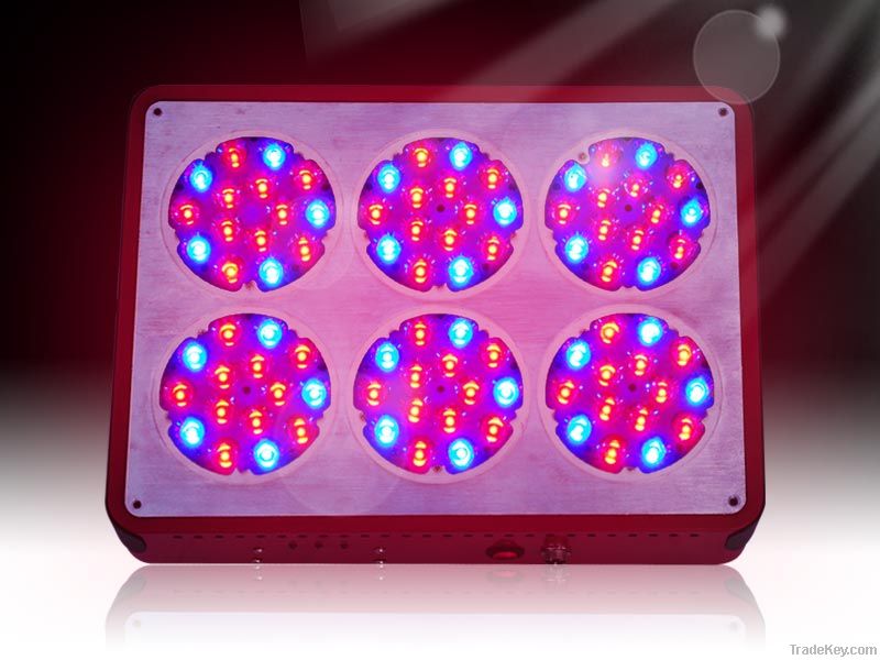 apollo6 led grow light