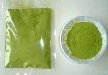 Wheat Grass Powder