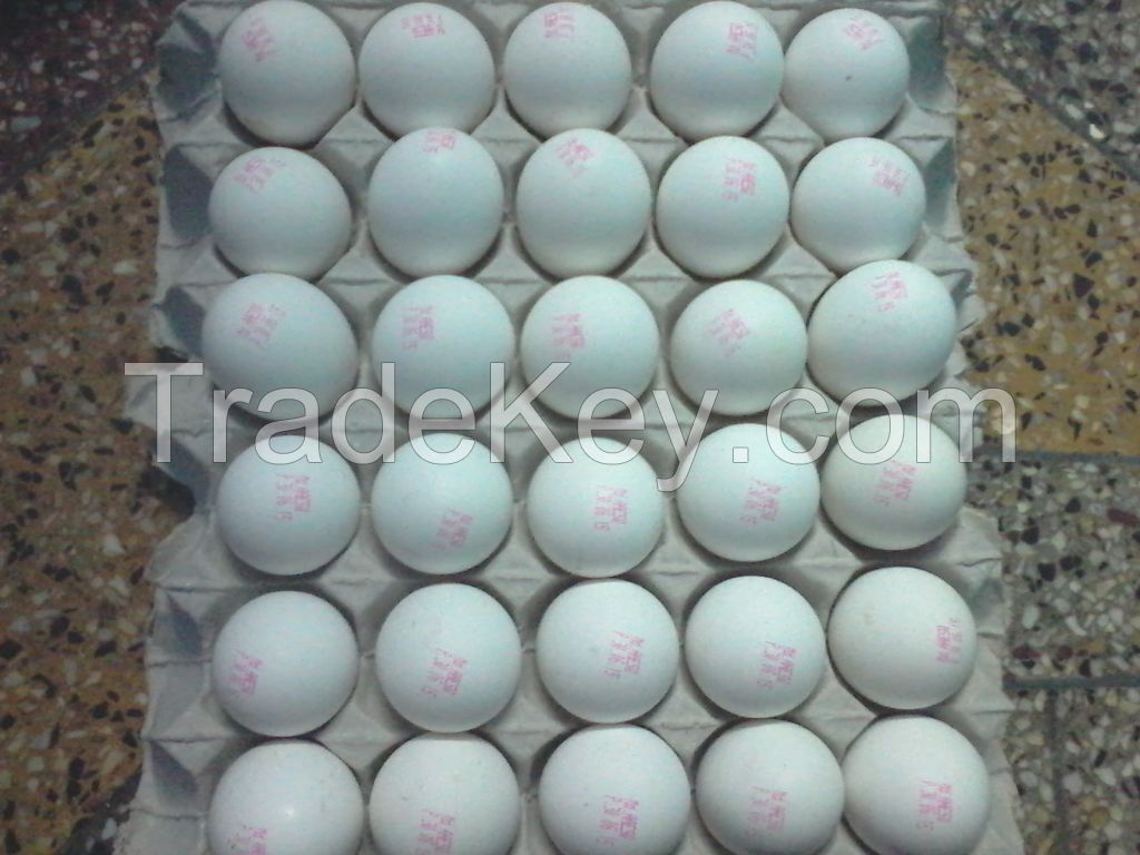 Fresh white shell Eggs