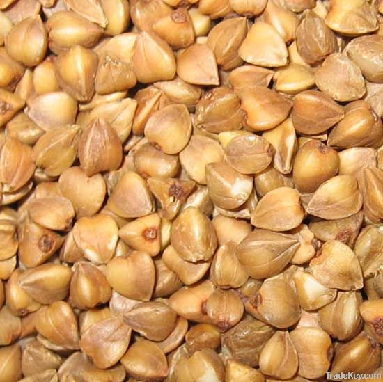 Roasted  Buckwheat Kernel