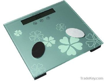 body composition scales