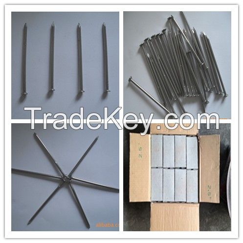 wood iron nails/concrete common nails/cement nails