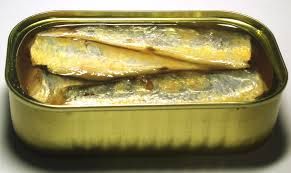 CANNED SARDINES | CANNED MACKEREL